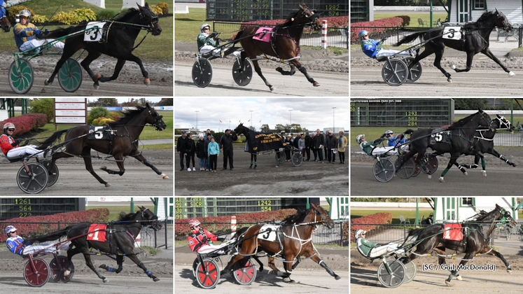 Major stakes winners from the 2024 Atlantic Breeders Crown card