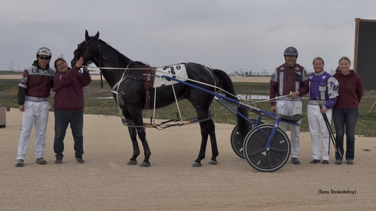 Aime Hanover