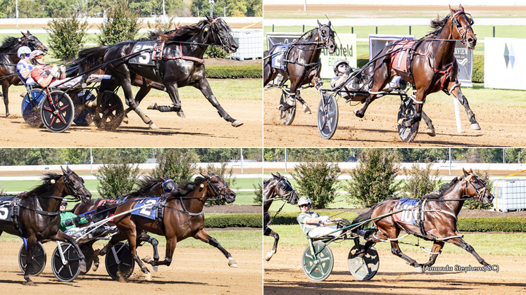 Photos, clockwise from top left, of Logan Park, Sylvia Hanover, Bythemissal and Call Me Goo