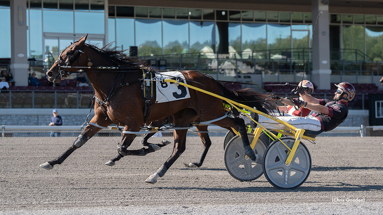 Always Ana Hanover