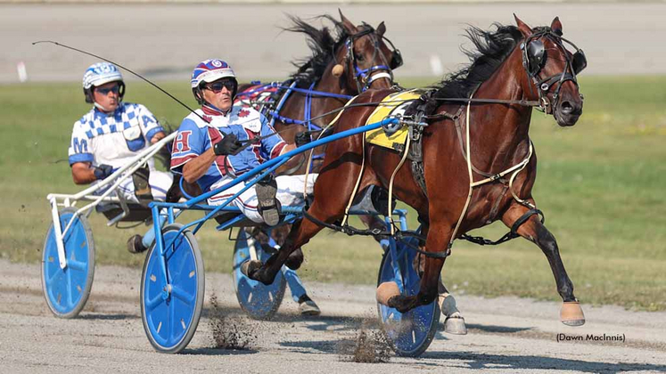 Badgirl Bridgette winning at Summerside Raceway