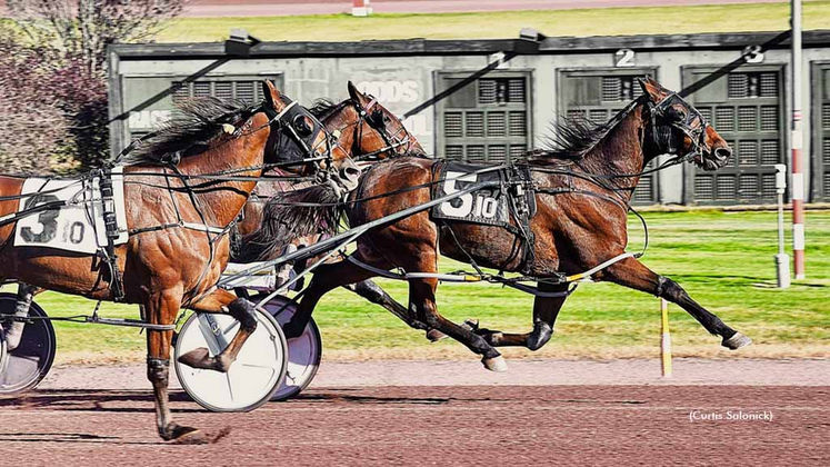 Congressional winning at Pocono Downs