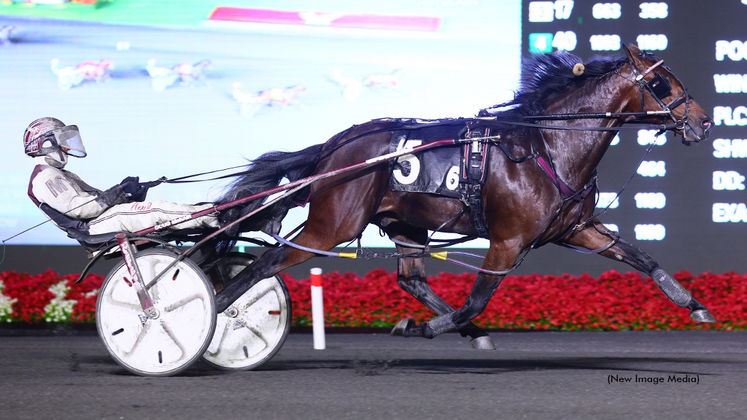 Crack Shot winning at Woodbine Mohawk Park