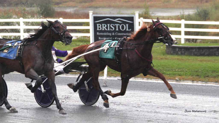 Elista Hanover winning at Plainridge Park