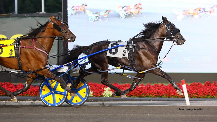 Fall In Line winning at Woodbine Mohawk Park