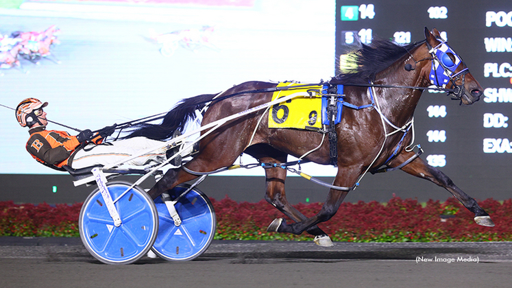 Fortify winning at Woodbine Mohawk Park