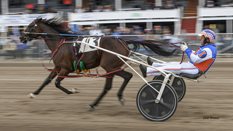 Gowestyounggrace winning at Fryeburg Fair