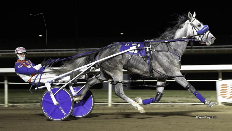 Grey Horizon winning at Century Mile