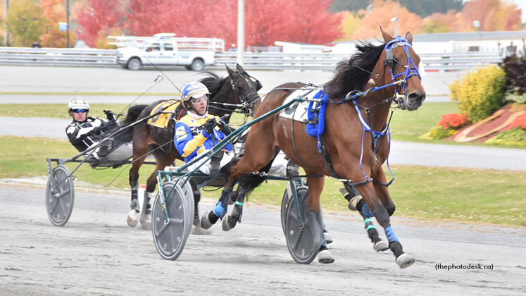 Kenogami Coco winning at Hippodrome 3R