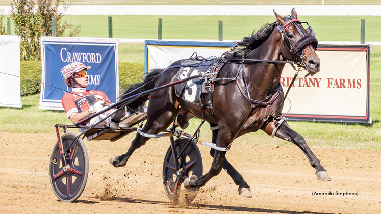 Mirage Hanover winning at The Red Mile