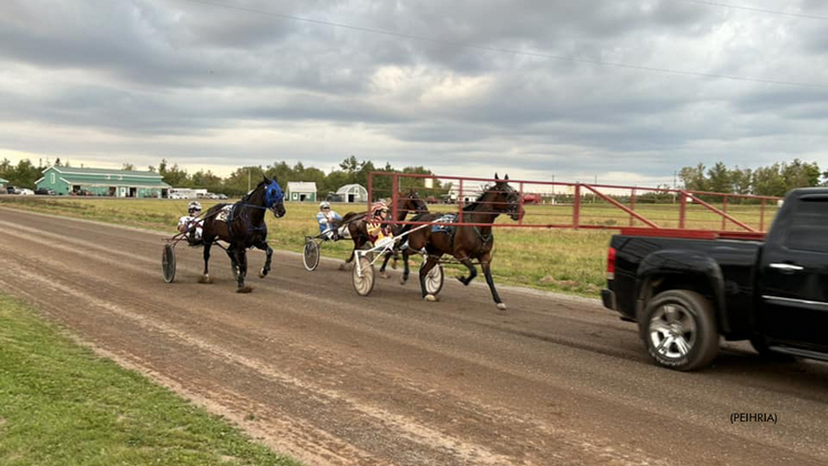 P.E.I matinee racing