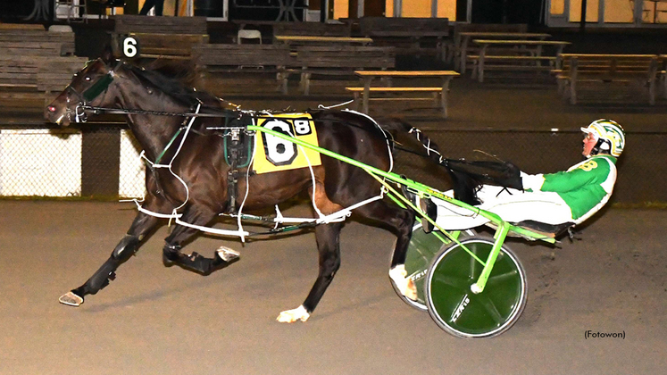 P L Princess C winning at Vernon Downs