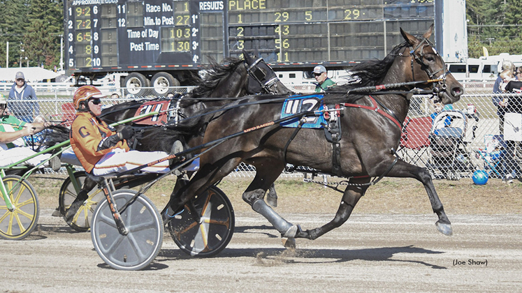 Pembroke Breeze winning at Fryeburg Fair