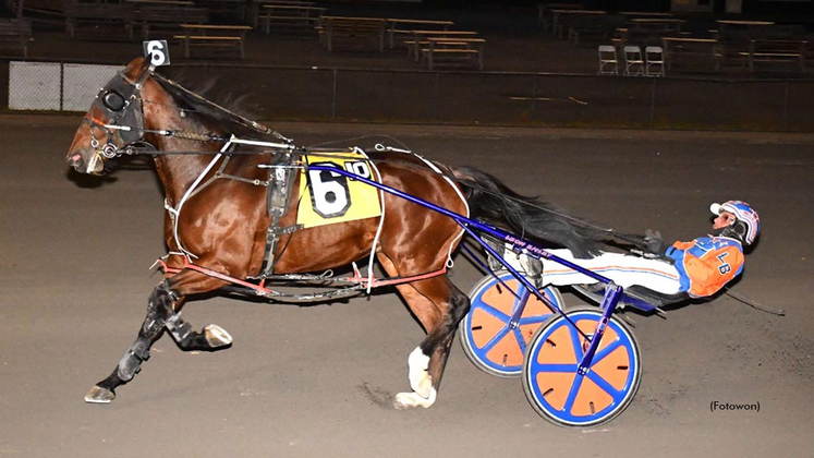 Primo Uomo winning at Vernon Downs