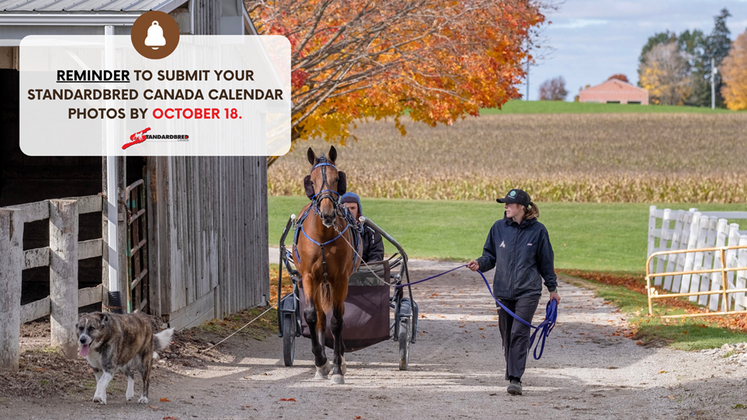 Submissions Due For 2025 Standardbred Cananda Calendar