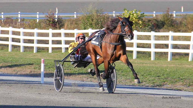 Sforza winning at Plainridge Park