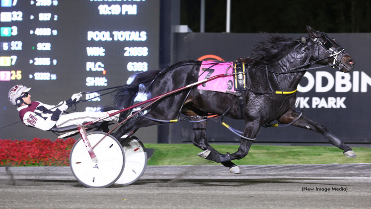 Silver Label winning at Woodbine Mohawk Park