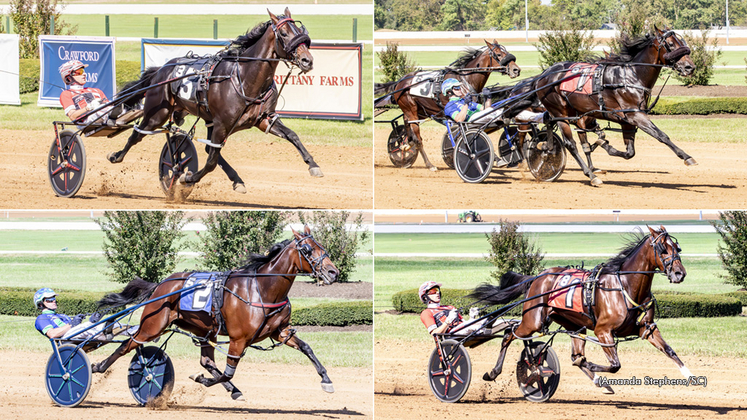 Tattersalls winners Mirage Hanover and McCrunch and Glen Garnsey winners My Girl Ej and Rocket Deo