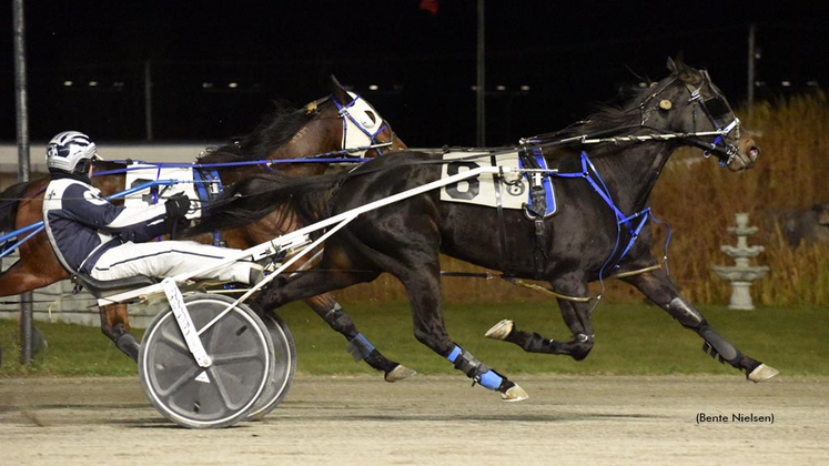 All Wrapped Up winning at Rideau Carleton Raceway