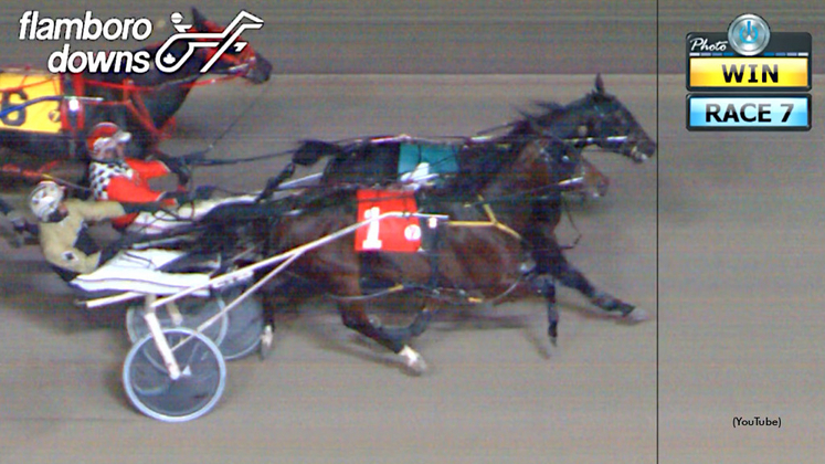 Bettors Victory wins by a head