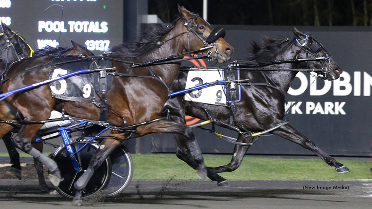 Definingthe Moment winning at Woodbine Mohawk Park