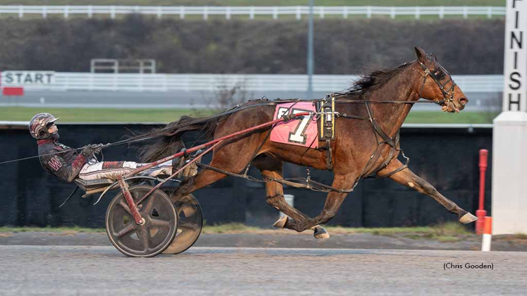 Gung Ho winning at The Meadows