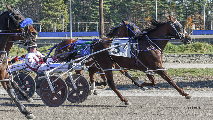 Hoosier Shark winning at First Tracks Cumberland