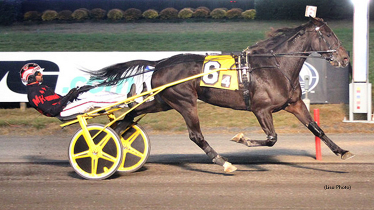 Lexus Kody winning at Meadowlands Racetrack