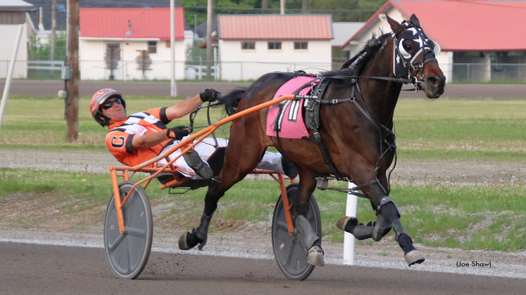 Little Macabee winning at First Tracks Cumberland