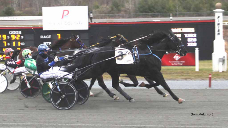 Marquis Lafayette winning at Plainridge Park