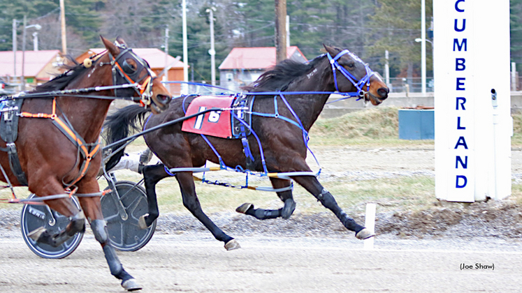 Pretty Gorgeous and Whatchagonnadoboo dead heat at Cumberland
