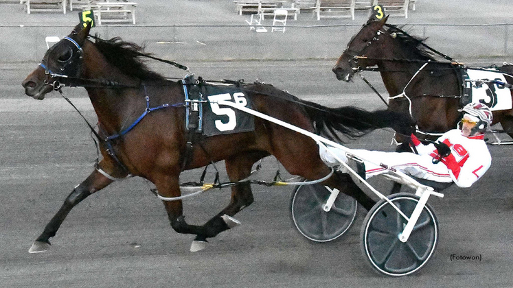 Quarrel winning at Vernon Downs