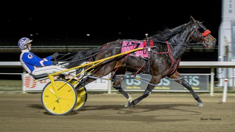 Roulette Hanover winning at Century Mile