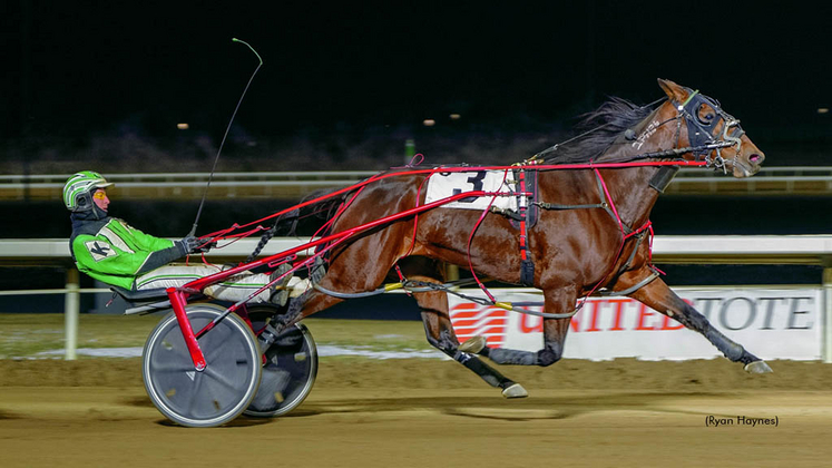 Stash The Cookies winning at Century Mile