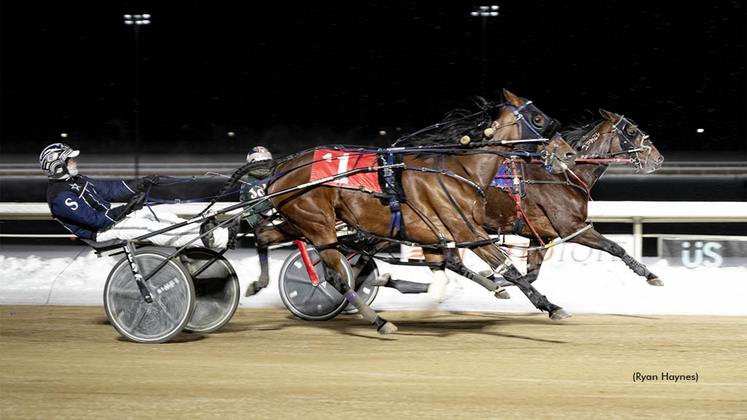 Stash The Cookies winning at Century Mile