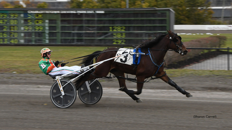 T H Boomtown winning at Charlottetown Driving Park