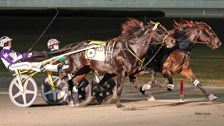 Take All Comers winning at Yonkers Raceway