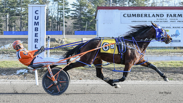 Alex Having Fun winning at First Tracks Cumberland
