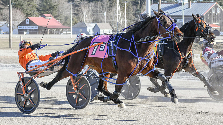 Alex Having Fun winning at First Tracks Cumberland