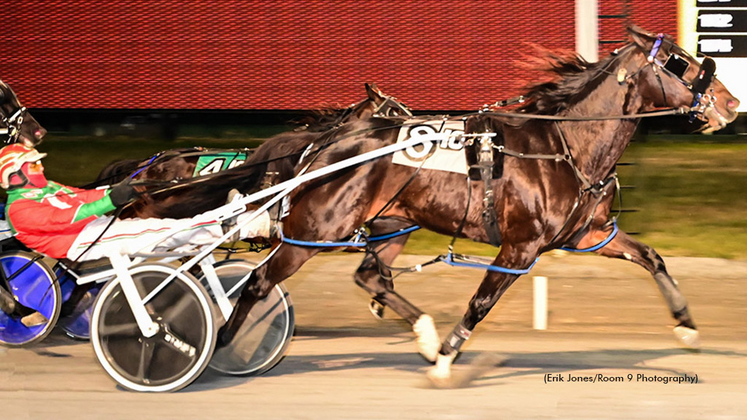 Ammo winning at Rosecroft Raceway