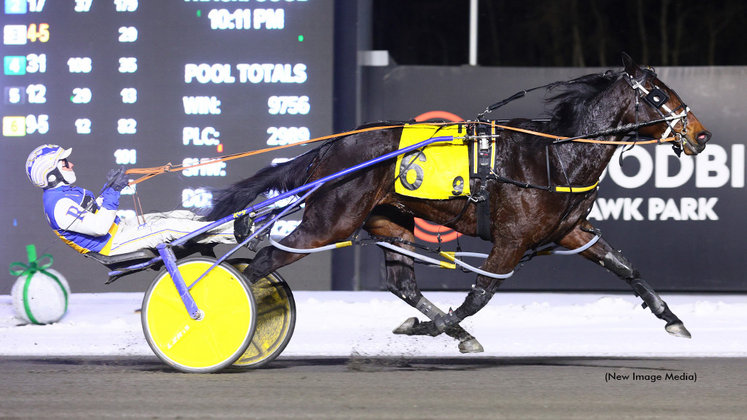 Prohibition Legal winning at Woodbine Mohawk Park