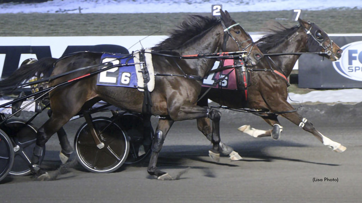 Sevenshadesofgrey winning at Meadowlands Racetrack