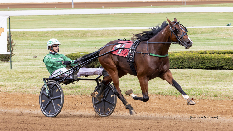 Southwind Tyrion winning at The Red Mile