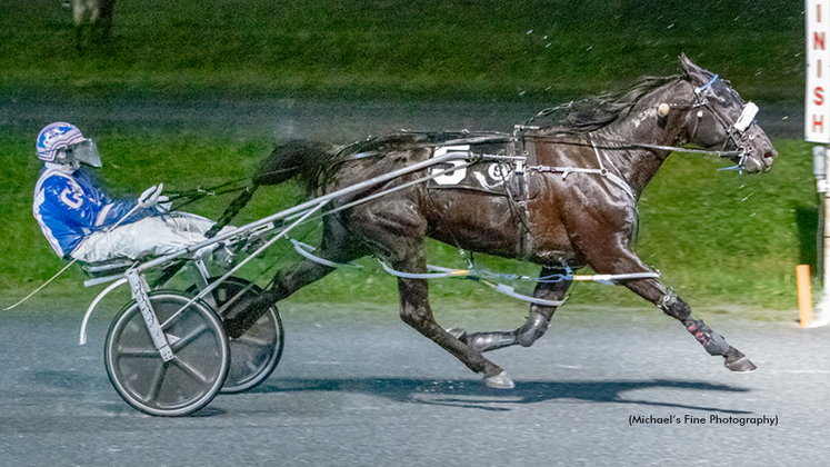 Sunshine Boy winning at Fraser Downs