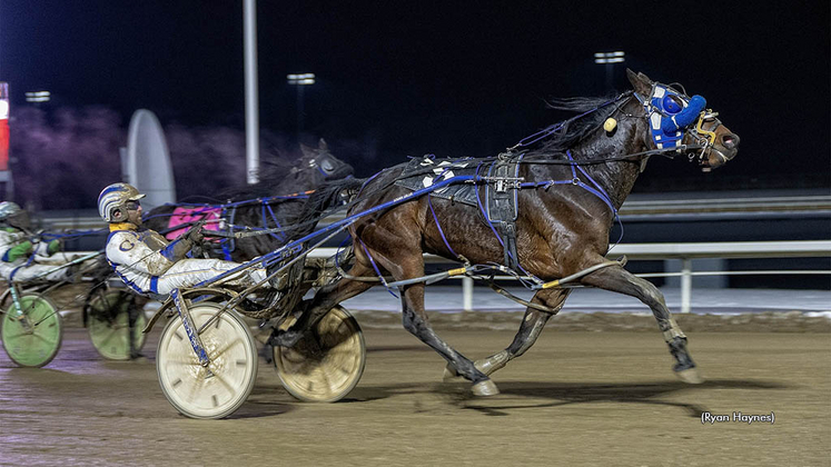 Vinny N The Iceman winning at Century Mile