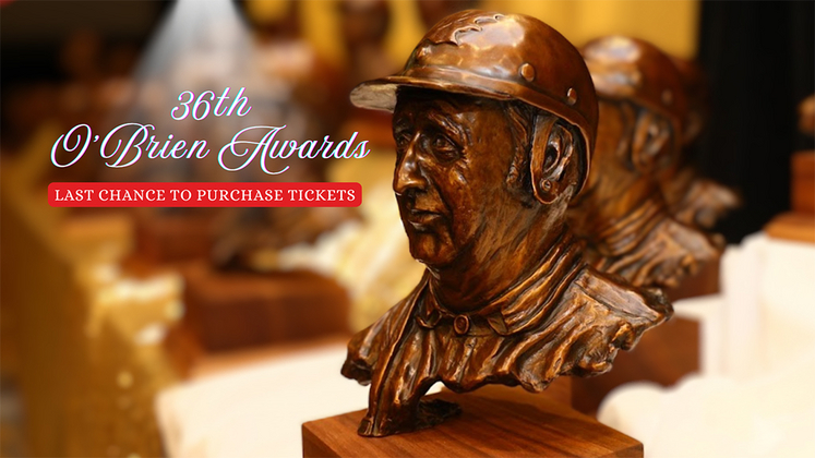 Last call for 2024 O'Brien Awards tickets