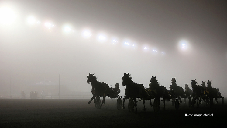 Horses racing in the fog
