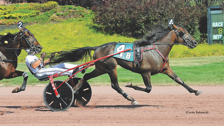 Molotov Cocktail winning at Pocono Downs