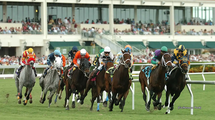 Thoroughbred racing at Gulfstream Park