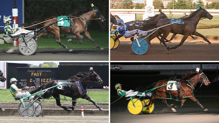 Ariana G, Marion Marauder, Put On A Show, Shartin N